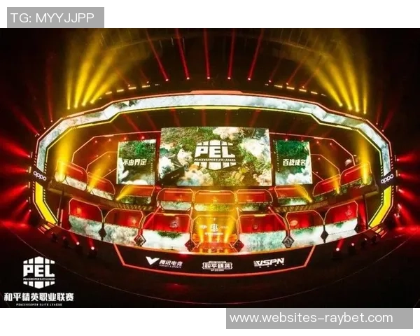 和平精英深度解析FPX战队的控制策略与战术布局