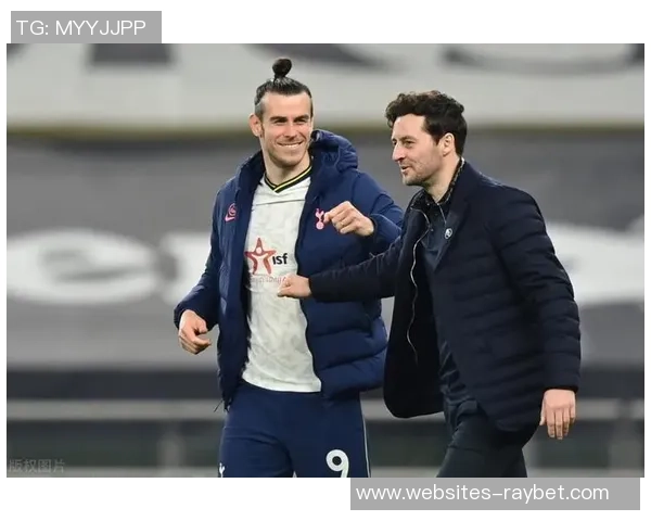 尼斯与贝尔谢实力对比分析谁能在比赛中胜出